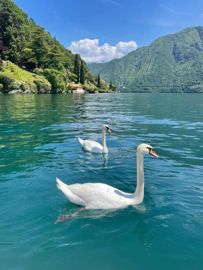 Casacamelia 35, 3 Bdrm With View Lake Como Apartman Acquaseria Kültér fotó